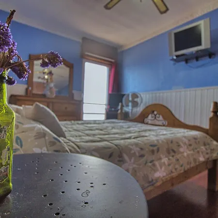 Holidays Sea View & Wiffi *