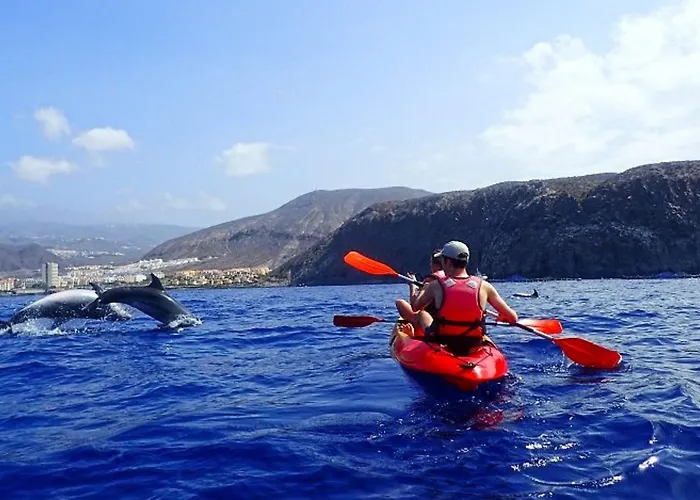 Holidays Sea View & Wiffi *