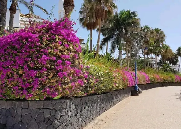 Holidays Sea View & Wiffi Апартаменты *