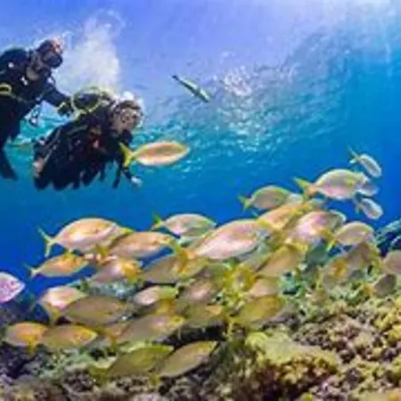 Lägenhet Holidays Sea View & Wiffi