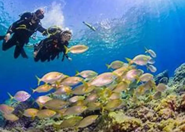 Apartmán Holidays Sea View & Wiffi